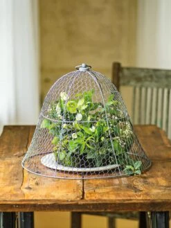 Chicken Wire Cloche -Plants And Accessories Shop 8590210 1 tif