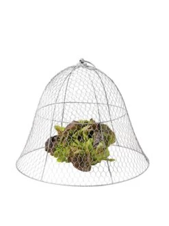 Chicken Wire Cloche -Plants And Accessories Shop 8590210 675 tif