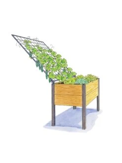 Elevated Planter Box And Space-Maker Pivoting Trellis Set, 2' X 4' -Plants And Accessories Shop 8590247 SMTrellis 4ft tif