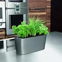 Lechuza® Delta Self-Watering Windowsill Planters -Plants And Accessories Shop 8590298 02V tif