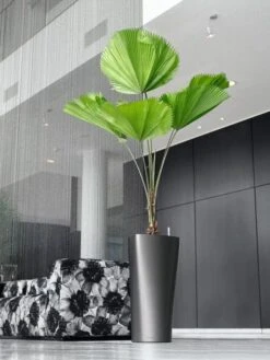 Lechuza® Delta Premium Self-Watering Planters -Plants And Accessories Shop 8590299 02V tif