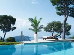 Lechuza® Delta Premium Self-Watering Planters -Plants And Accessories Shop 8590299 04V tif