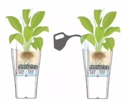 Lechuza® Delta Premium Self-Watering Planters -Plants And Accessories Shop 8590299 07V tif