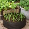 Garlic Grow Bag Kit 1 Garlic Grow Bag Kit -Plants And Accessories Shop 8590676 0072 growing garlic grow bag kit