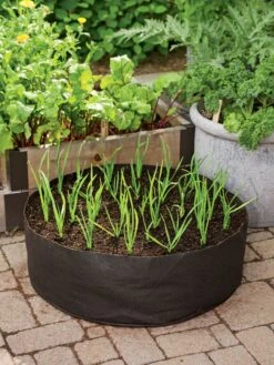 Garlic Grow Bag Kit