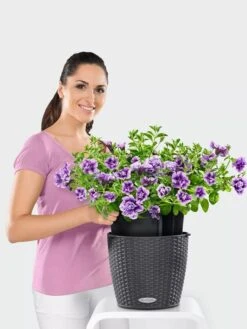 Lechuza® Nido Cottage Wicker Hanging Planter -Plants And Accessories Shop 8591154GT 006V tif