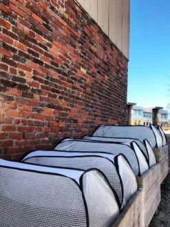 Row Shelter Accelerator -Plants And Accessories Shop 8591990 01IN tif