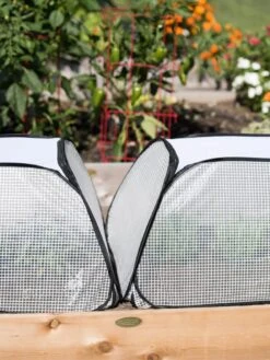 Row Shelter Accelerator -Plants And Accessories Shop 8591990 2199 tif