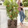 Gardener's Revolution® Tomato Planter -Plants And Accessories Shop 8592159 406 001E tif