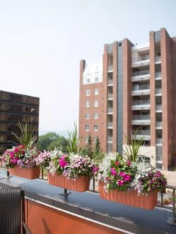 Adjustable Self-Watering Railing Planter, 24" -Plants And Accessories Shop 8592173TC 2383 tif