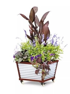 Galvanized Self-Watering Planters -Plants And Accessories Shop 8592176 5067 tif