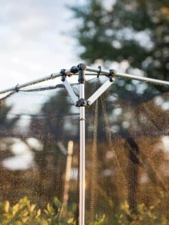 Storm Proof Crop Cage, Large -Plants And Accessories Shop 8592463 114 tif