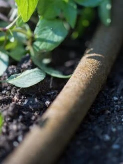 Premium 1/2" Soaker Hose 13 Premium 1/2" Soaker Hose -Plants And Accessories Shop 8592730 4933 tif