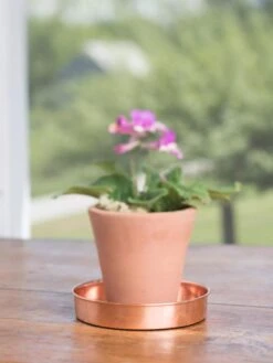 Extra Small Round Copper Plant Tray, 8" -Plants And Accessories Shop 8593528 4522 tif