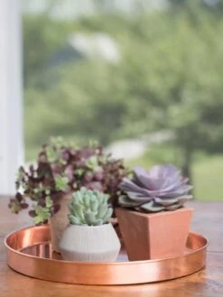 Large Round Copper Plant Tray, 14" -Plants And Accessories Shop 8593531 4518 tif