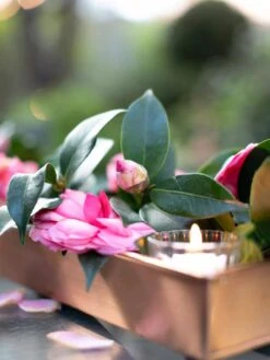 Rectangular Copper Plant Tray, 18"x4" -Plants And Accessories Shop 8593532 02IN tif