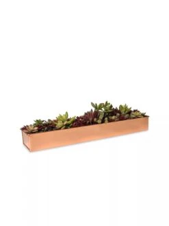 Rectangular Copper Plant Tray, 18"x4" -Plants And Accessories Shop 8593532 2892 tif