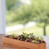 Rectangular Copper Plant Tray, 18"x4" -Plants And Accessories Shop 8593532 4632 tif
