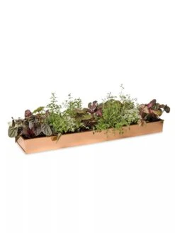 Rectangular Copper Plant Tray, 24" X 5" -Plants And Accessories Shop 8593533 2878 tif