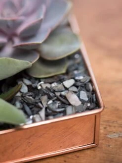 Rectangular Copper Plant Tray, 24" X 5" -Plants And Accessories Shop 8593533 4570 tif