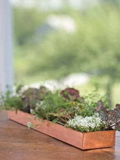 Rectangular Copper Plant Tray, 24" X 5" -Plants And Accessories Shop 8593533 4626 tif