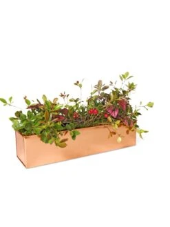 Tall Rectangular Copper Plant Tray, 18" X 5" X 4" 10 Tall Rectangular Copper Plant Tray, 18" X 5" X 4" -Plants And Accessories Shop 8593534 2899 tif