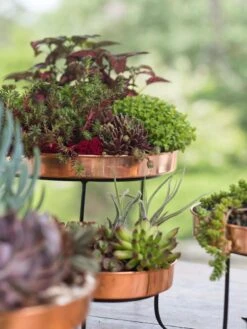 Small Round Copper Plant Tray, 10" -Plants And Accessories Shop 8593564 4399 tif