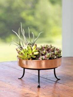 Extra Small Round Copper Plant Tray, 8" -Plants And Accessories Shop 8593564 4641 001E tif