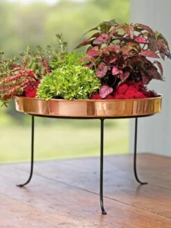 Large Round Copper Plant Tray, 14" -Plants And Accessories Shop 8593567 4636 tif