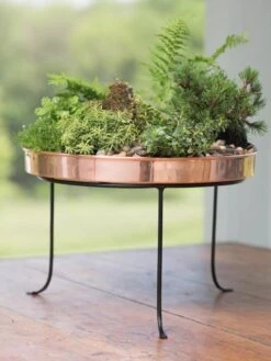 Large Round Copper Plant Tray, 14" -Plants And Accessories Shop 8593567 4637 tif