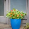 Viva Round Self-Watering Rolling Planter, 17.25” Diameter 1 Viva Round Self-Watering Rolling Planter, 17.25” Diameter -Plants And Accessories Shop 8594077 0087 tif