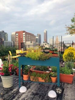 Demeter Mobile Planter Cart -Plants And Accessories Shop 8594148 01CUST tif