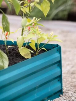 Demeter Corrugated Metal Raised Bed, 34" X 34" 15 Demeter Corrugated Metal Raised Bed, 34" X 34" -Plants And Accessories Shop 8594183 470 tif