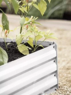 Demeter Corrugated Metal Raised Bed, 34" X 34" 14 Demeter Corrugated Metal Raised Bed, 34" X 34" -Plants And Accessories Shop 8594183 570 tif