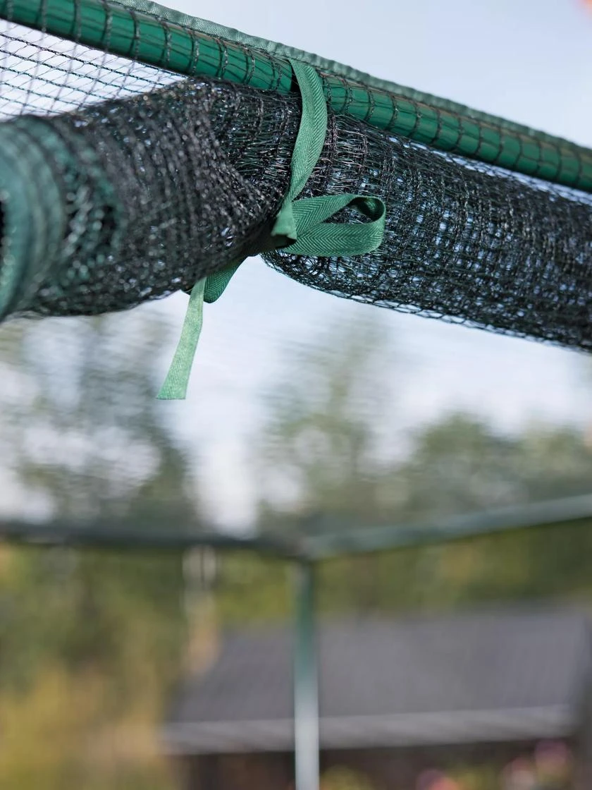 Pest-Free Garden 6 Pest-Free Garden - Image 4