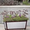 Short Galvanized Self-Watering Trough Planter -Plants And Accessories Shop 8594329 5064 tif