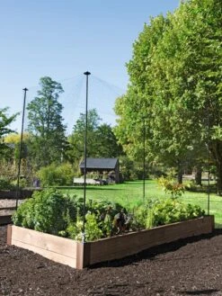 Protection Stakes For Netting, Set Of 4 10 Protection Stakes For Netting, Set Of 4 -Plants And Accessories Shop 8594434 0015 tif