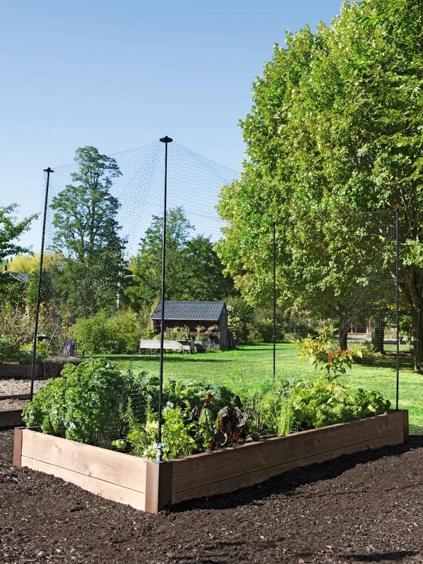 Protection Stakes For Netting, Set Of 4 6 Protection Stakes For Netting, Set Of 4 - Image 4