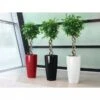 Lechuza® Rondo Self-Watering Planters -Plants And Accessories Shop 8594586 01V tif