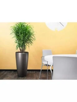 Lechuza® Rondo Self-Watering Planters -Plants And Accessories Shop 8594586 02V tif