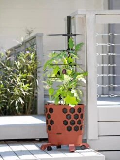 Gardener's Revolution® Tomato Planter 9 Gardener's Revolution® Tomato Planter -Plants And Accessories Shop 8594743 2618 tif