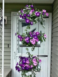 Galvanized Hanging Triple Planter -Plants And Accessories Shop 8595213 02CUST tif