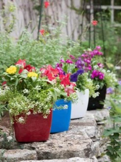 Viva Square Self-Watering Planter, 7" Diameter -Plants And Accessories Shop 8595223 5308 tif