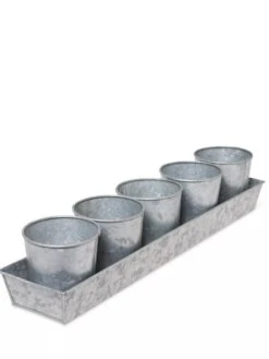 Galvanized Herb Planters With Rectangular Tray -Plants And Accessories Shop 8595903 3924 tif