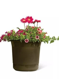 Eezy Gro Self-Watering Planters 12 Eezy Gro Self-Watering Planters -Plants And Accessories Shop 8596427 108 tif