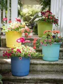 Eezy Gro Self-Watering Planters 13 Eezy Gro Self-Watering Planters -Plants And Accessories Shop 8596427 8090 tif