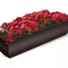 Valencia Window Box, 4' -Plants And Accessories Shop 8596437 10V tif