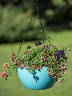 Viva Self-Watering Hanging Basket, 14" Diameter -Plants And Accessories Shop 8596442 0859 tif