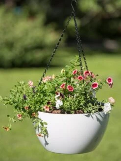 Viva Self-Watering Hanging Basket, 14" Diameter -Plants And Accessories Shop 8596442 0864 tif