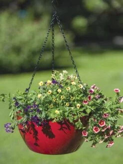 Viva Self-Watering Hanging Basket, 14" Diameter -Plants And Accessories Shop 8596442 0866 tif